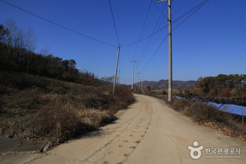 [Ganghwa Nadeul-gil Course 3] Road to the Royal Tombs ([강화 나들길 제3코스] 능묘 가는 길) (4/5)