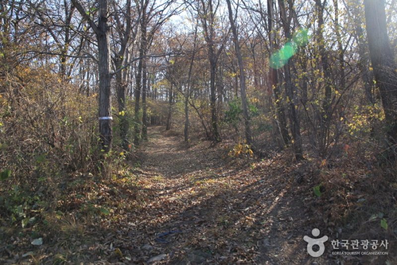 [Ganghwa Nadeul-gil Course 4] Sunset Village Road ([강화 나들길 제4코스] 해가 지는 마을 길) (3/5)