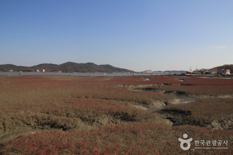 [Ganghwa Nadeul-gil Course 6] The Birthplace of Hwanam ([강화 나들길 제6코스] 화남생가 가는 길) (2/5)