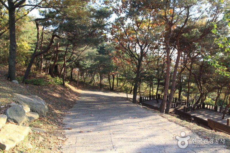 [Ganghwa Nadeul-gil Course 6] The Birthplace of Hwanam ([강화 나들길 제6코스] 화남생가 가는 길) (3/5)