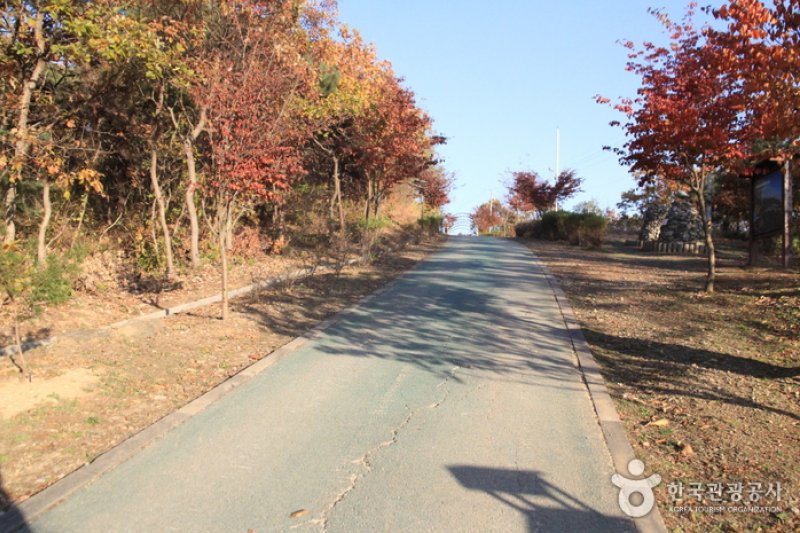 [Ganghwa Nadeul-gil Course 6] The Birthplace of Hwanam ([강화 나들길 제6코스] 화남생가 가는 길) (4/5)