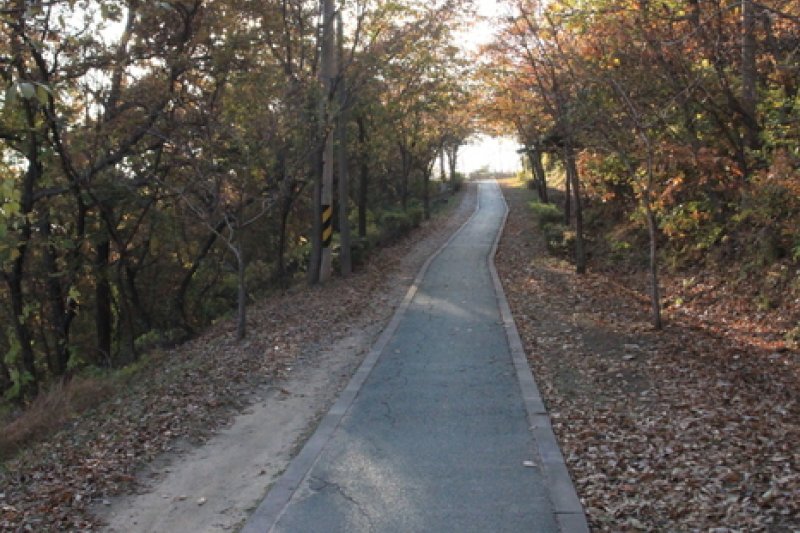[Ganghwa Nadeul-gil Course 6] The Birthplace of Hwanam ([강화 나들길 제6코스] 화남생가 가는 길) (5/5)