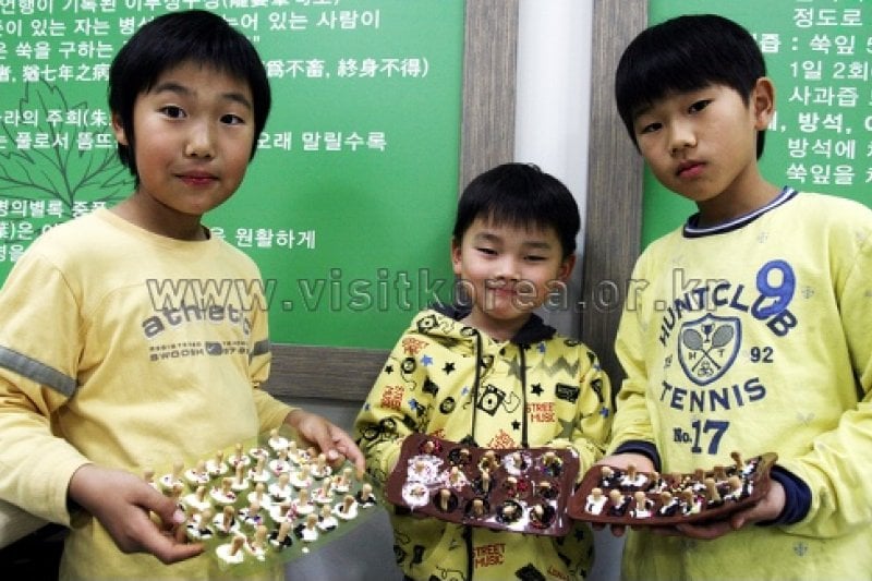 Ganghwa Mugwort Festival  (1/14)