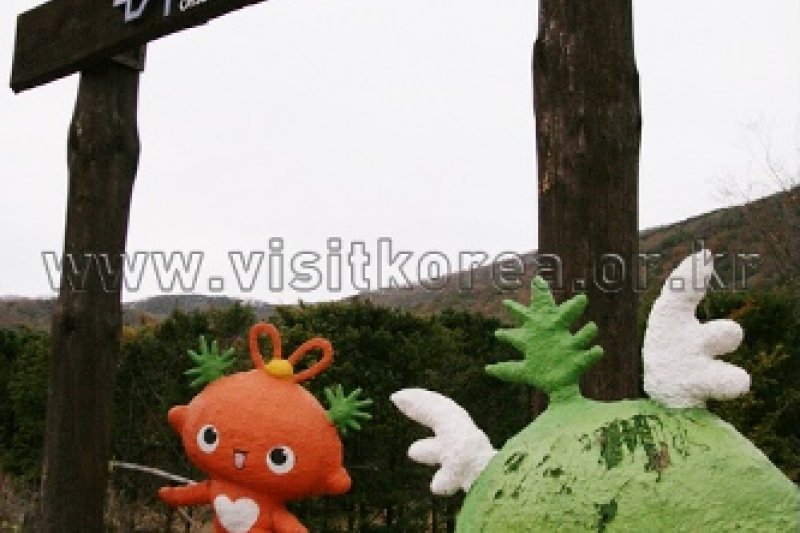 Ganghwa Mugwort Festival  (12/14)