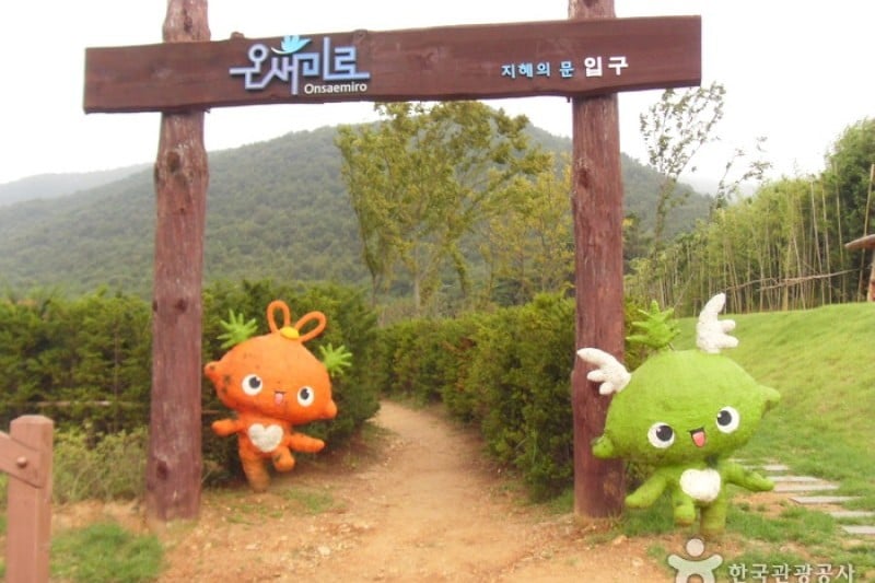 Ganghwa Armiae World  (25/25)