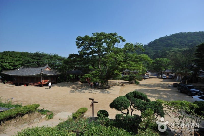 Jeondeungsa Temple: A Tranquil Retreat Steeped in History (1/6)
