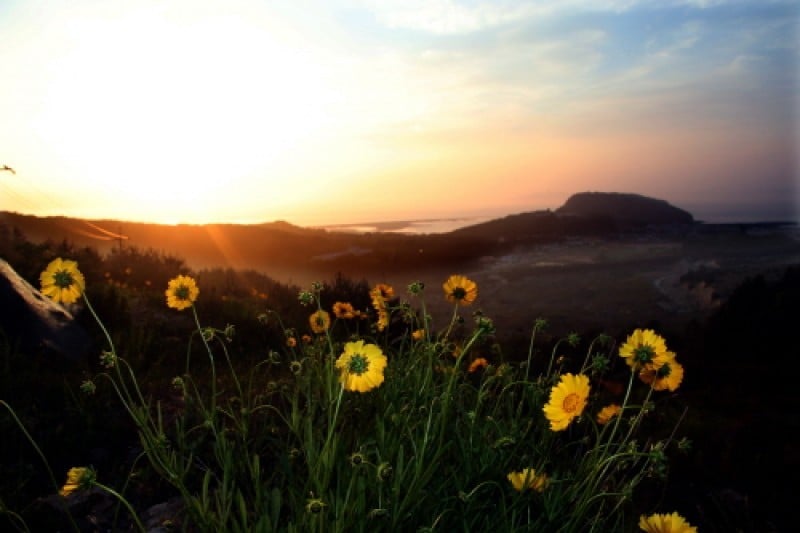 Daecheongdo Island  (29/48)