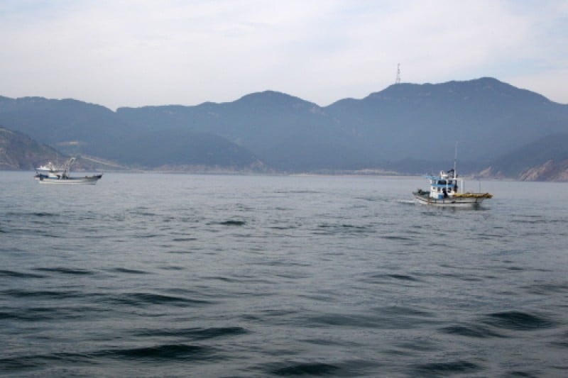 Daecheongdo Island  (42/48)