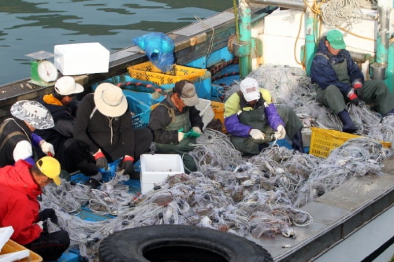 Daecheongdo Island  (43/48)
