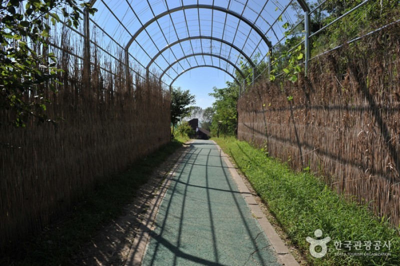 Ganghwa Tidal Flat Center  (17/19)
