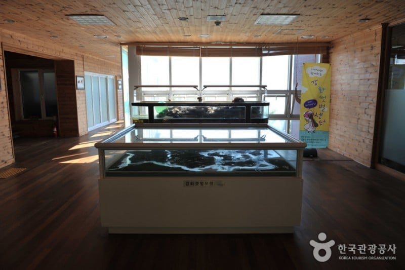 Ganghwa Tidal Flat Center  (18/19)