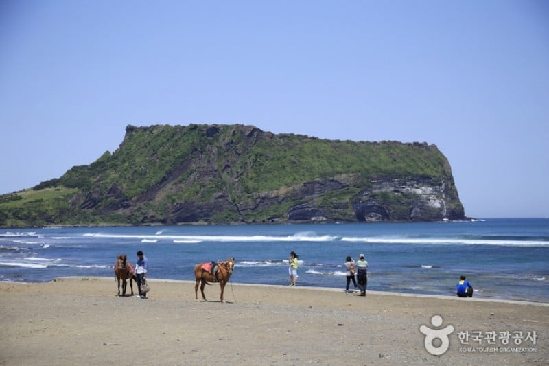 Seongsan Ilchulbong Peak [UNESCO World Heritage]  (11/31)