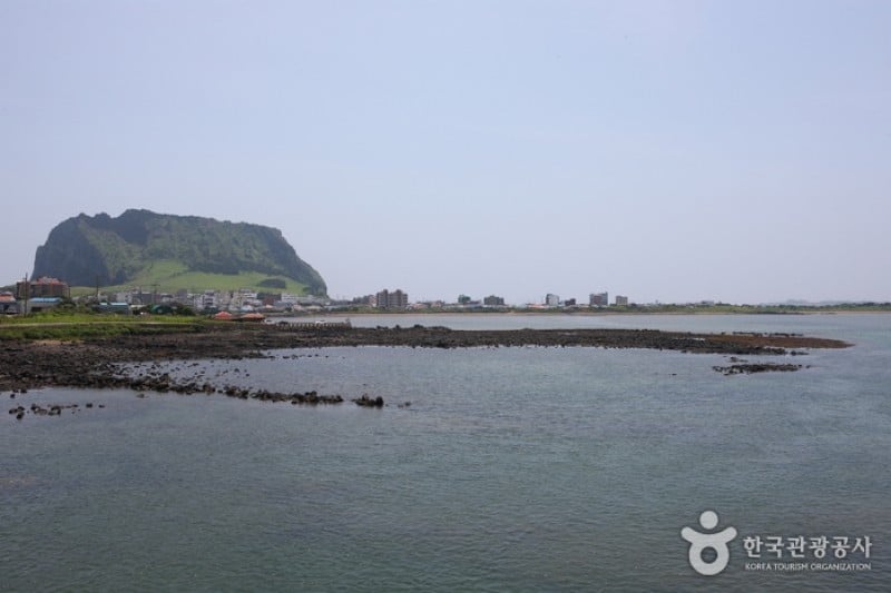 Seongsan Ilchulbong Peak [UNESCO World Heritage]  (13/31)