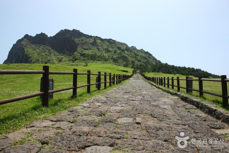 Seongsan Ilchulbong Peak [UNESCO World Heritage]  (17/31)