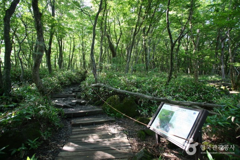 Hallasan National Park [UNESCO World Heritage]  (3/19)