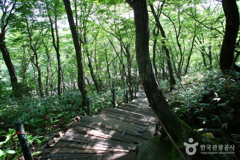 Hallasan National Park [UNESCO World Heritage]  (4/19)