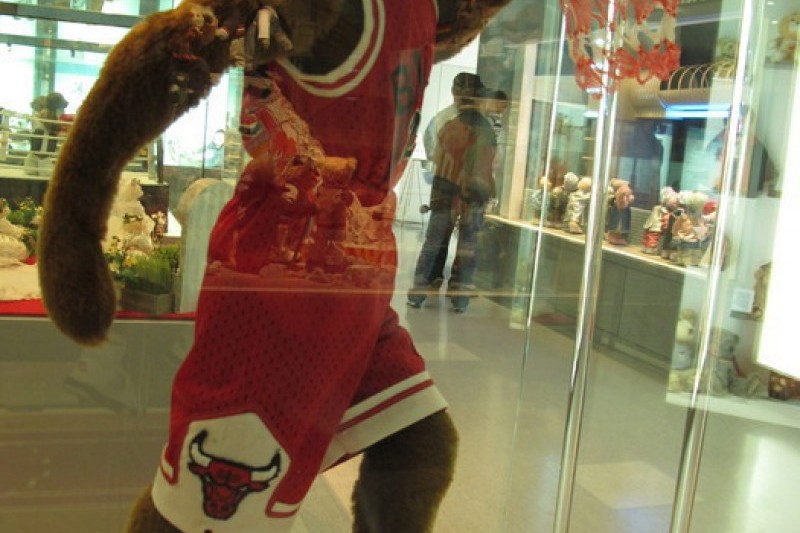 Teddy Bear Museum  (7/49)