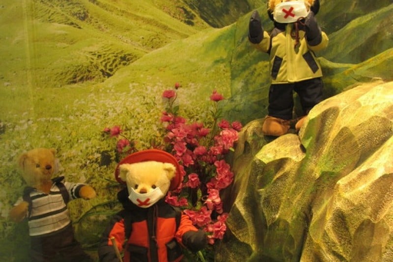 Teddy Bear Museum  (20/49)