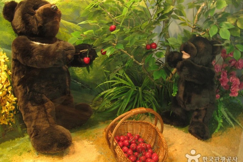 Teddy Bear Museum  (22/49)