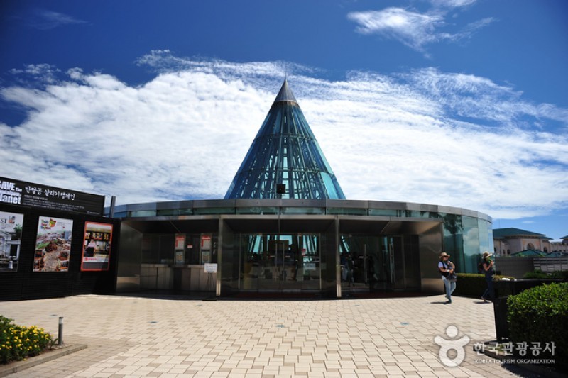Teddy Bear Museum  (39/49)