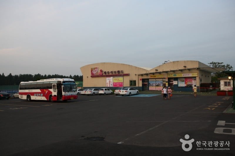 Jeju Love Land  (8/21)