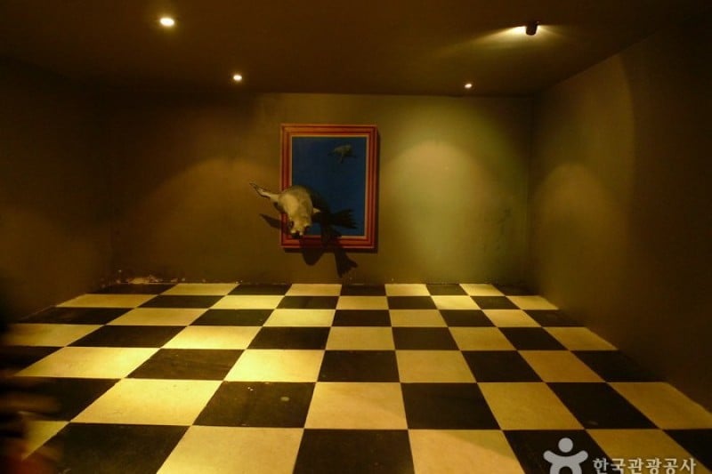 Trick Art Museum KOREA - Jeju Seongeup Branch  (7/34)