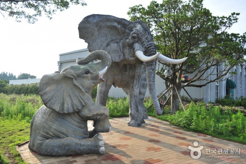 Trick Art Museum KOREA - Jeju Seongeup Branch  (17/34)