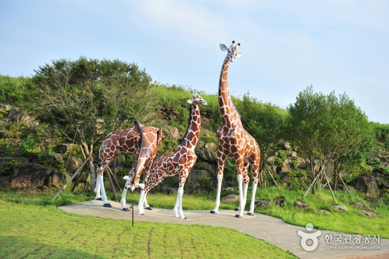Trick Art Museum KOREA - Jeju Seongeup Branch  (18/34)
