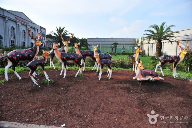 Trick Art Museum KOREA - Jeju Seongeup Branch  (19/34)