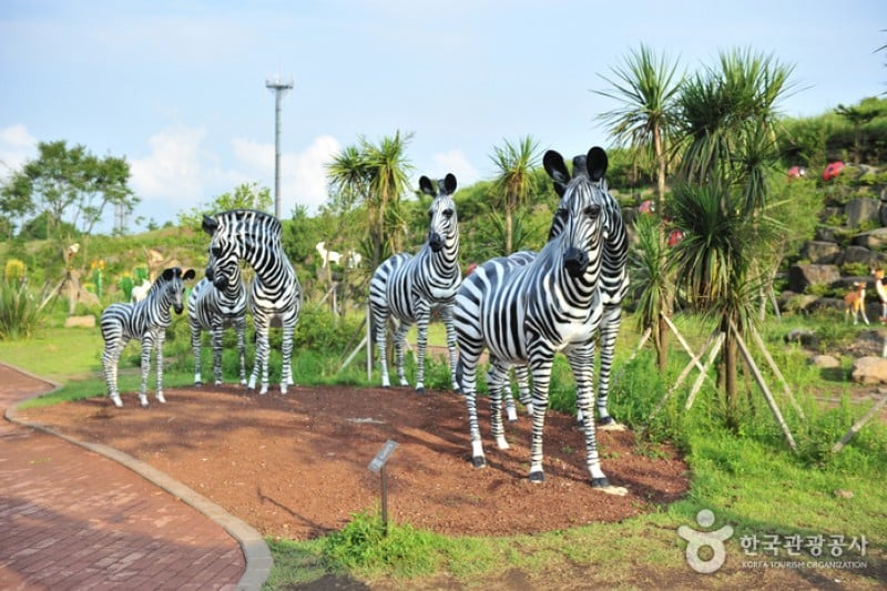 Trick Art Museum KOREA - Jeju Seongeup Branch  (21/34)
