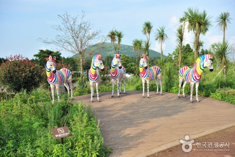 Trick Art Museum KOREA - Jeju Seongeup Branch  (22/34)