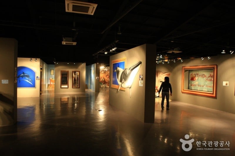 Trick Art Museum KOREA - Jeju Seongeup Branch  (30/34)