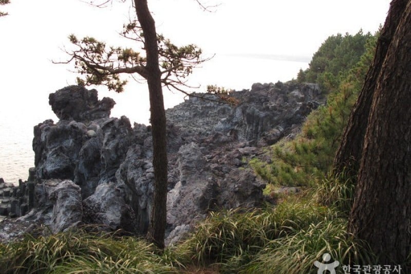 Daepo Jusangjeolli Cliff 