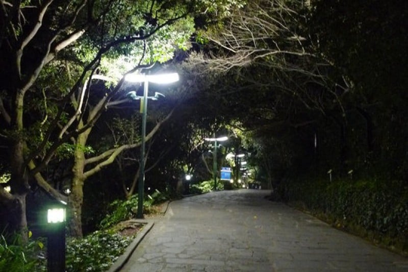 Cheonjiyeon Falls  (2/18)