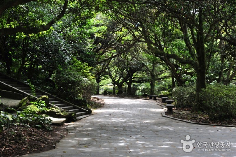 Cheonjiyeon Falls  (4/18)