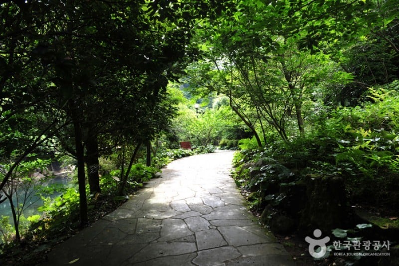 Cheonjiyeon Falls  (5/18)