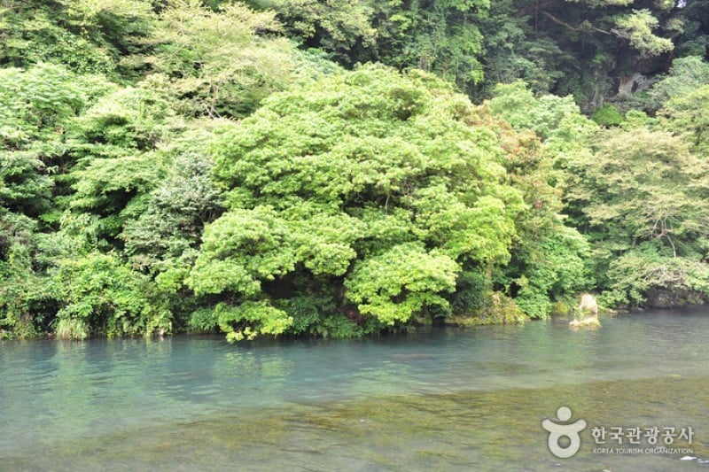 Cheonjiyeon Falls  (6/18)
