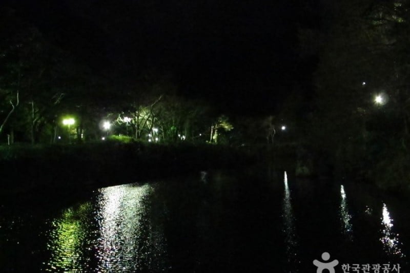 Cheonjiyeon Falls  (10/18)
