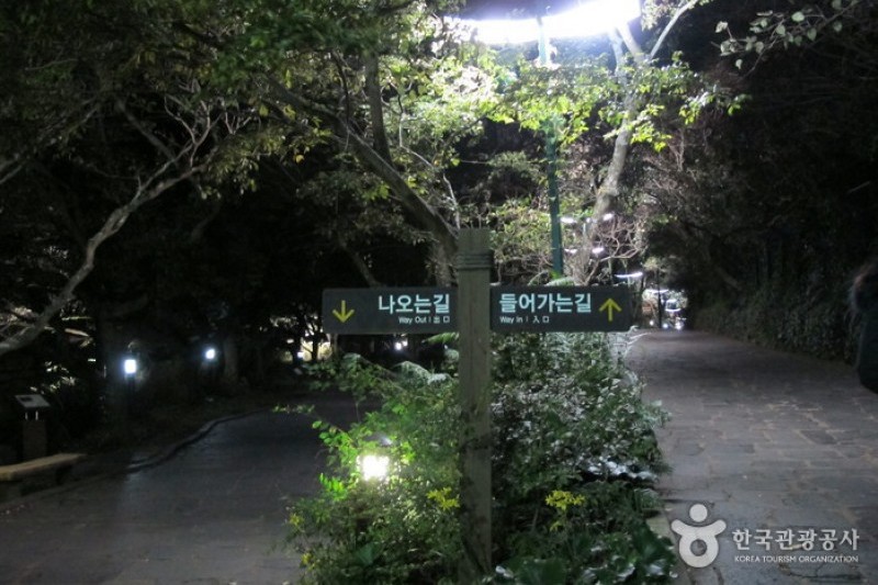 Cheonjiyeon Falls  (11/18)