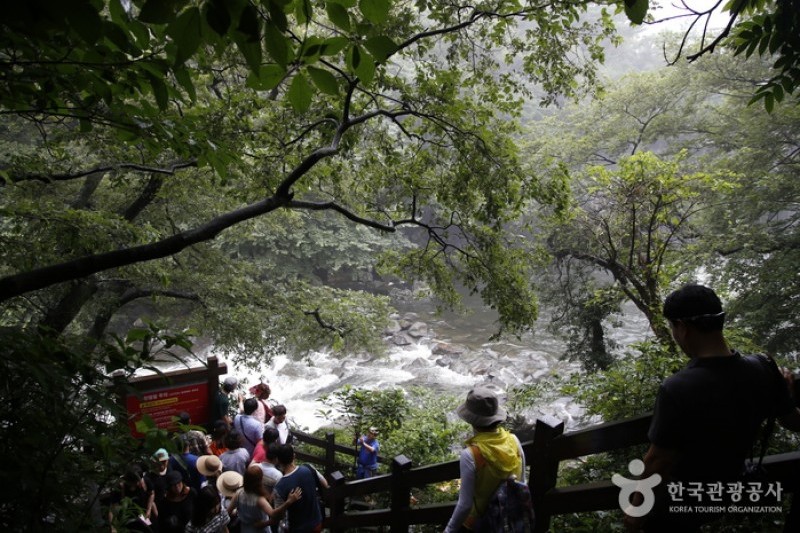 Cheonjeyeon Falls  (1/6)