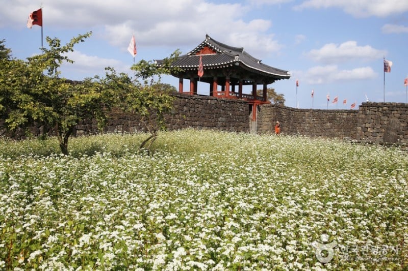 Seongeup Folk Village  (1/19)