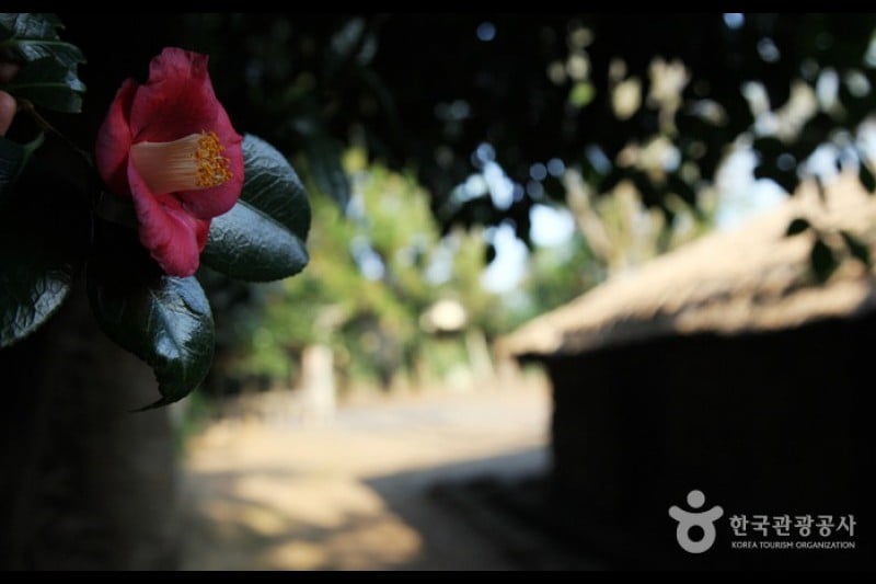 Seongeup Folk Village  (6/19)
