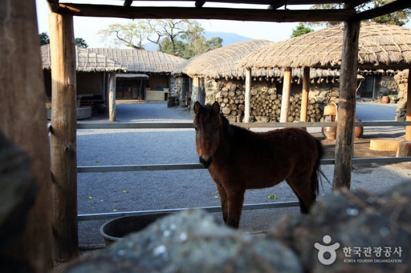 Seongeup Folk Village  (9/19)