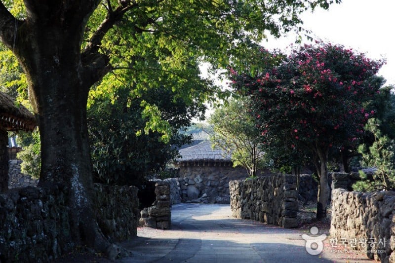 Seongeup Folk Village  (13/19)