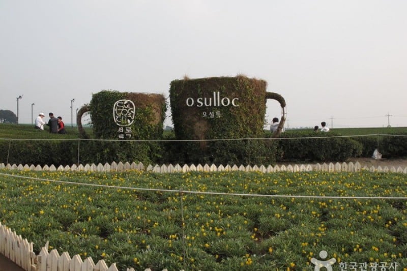 O’sulloc Museum  (6/45)