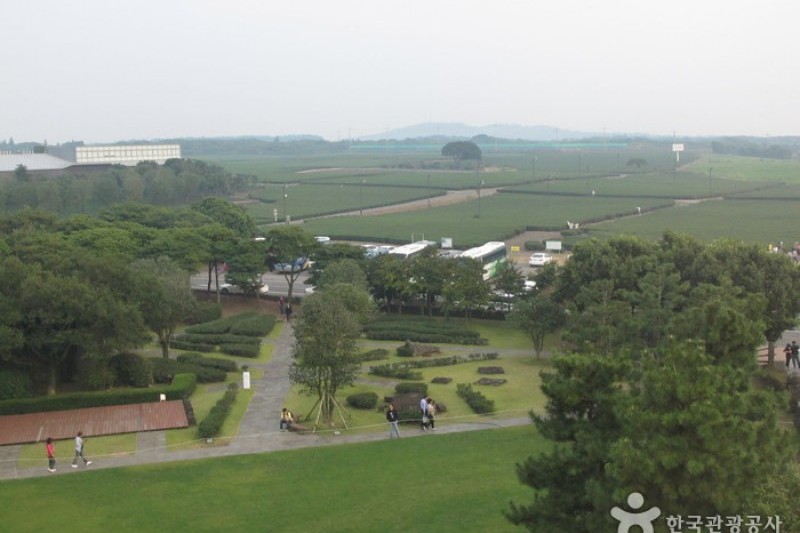 O’sulloc Museum  (22/45)