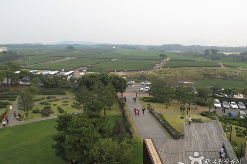 O’sulloc Museum  (24/45)