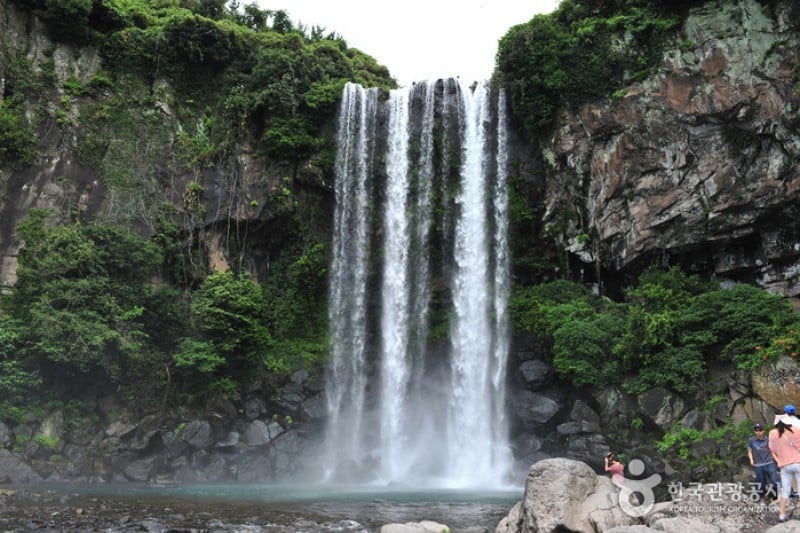Jeongbang Falls  (3/11)