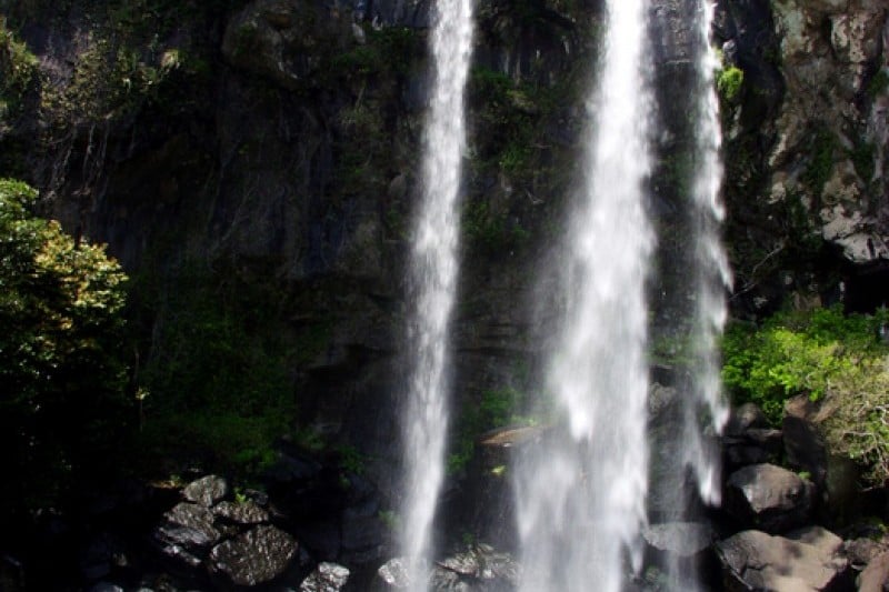 Jeongbang Falls  (5/11)