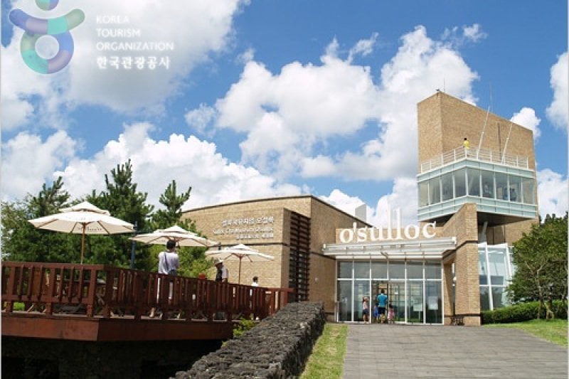 Jeju Trolley Limousine Tour (제주 트롤리 버스(Trolley Bus)) (1/5)